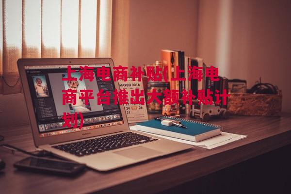 上海电商补贴(上海电商平台推出大额补贴计划)