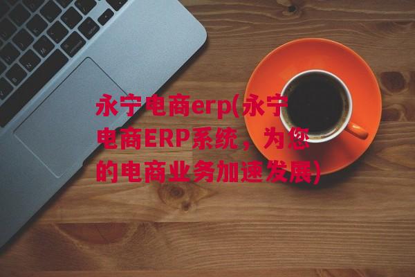 永宁电商erp(永宁电商ERP系统，为您的电商业务加速发展)